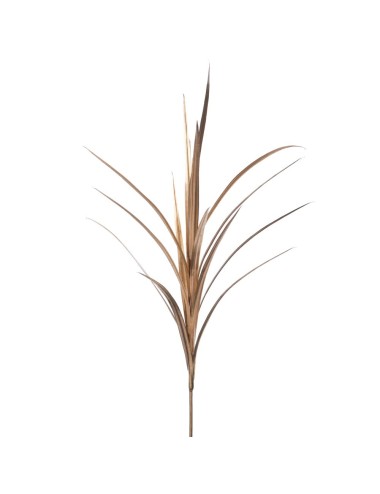 Tige Yucca Or 122 Cm