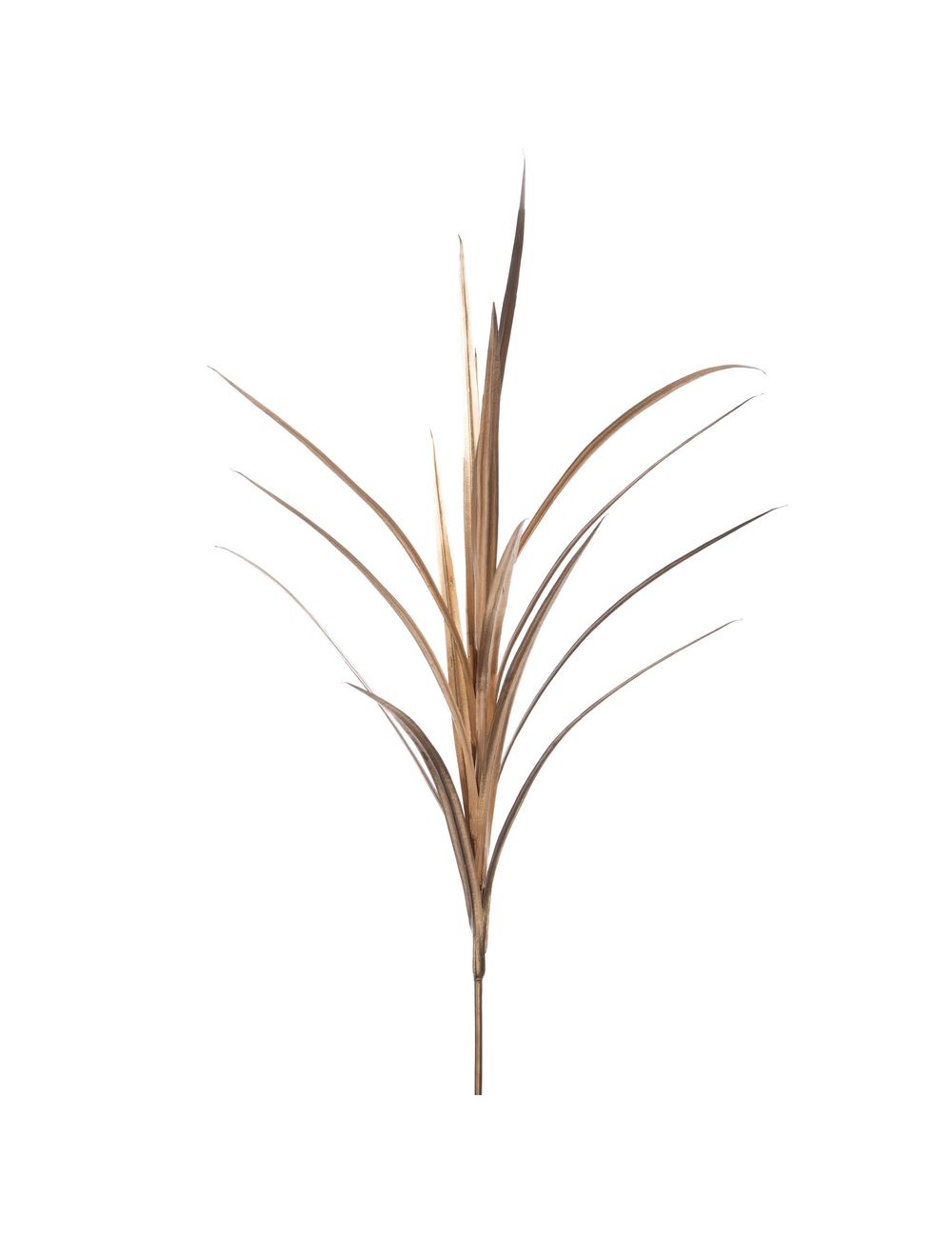 Tige Yucca Or 122 Cm