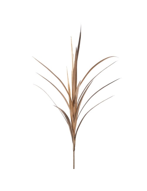 Tige Yucca Or 122 Cm