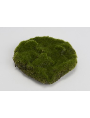 MOUSSE PLAQUE D18