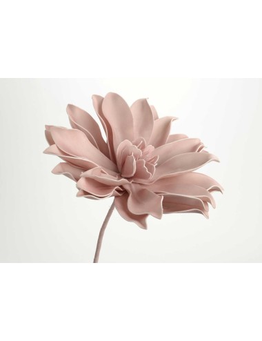 Fleur Pana H80 Rose