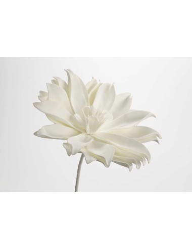 Fleur Pana H80 Blanc