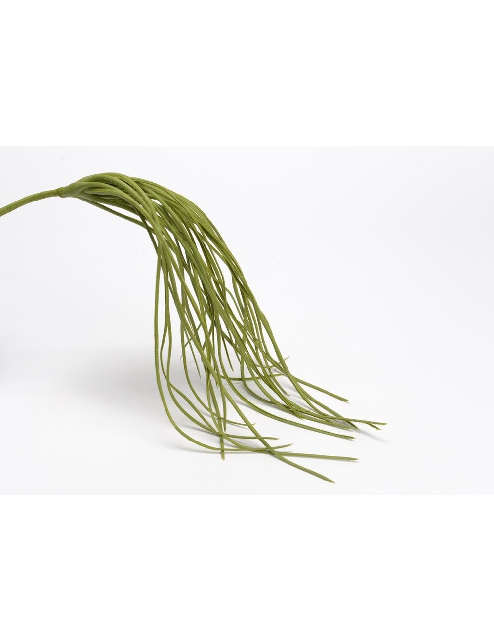 PIQUET HERBE SOUPLE H59