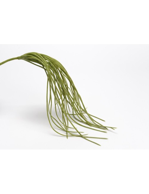 PIQUET HERBE SOUPLE H59 