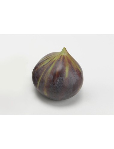 FRUIT FIGUE