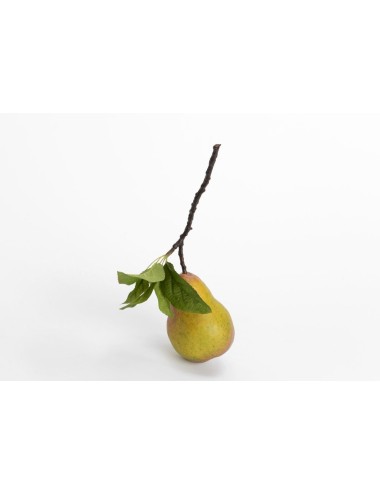 POIRE WILLIAM FEUIL H11