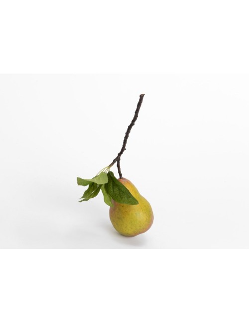 POIRE WILLIAM FEUIL H11