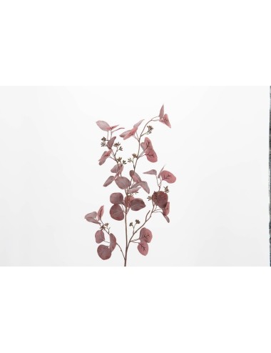 EUCALYPTUS GUNII H115
