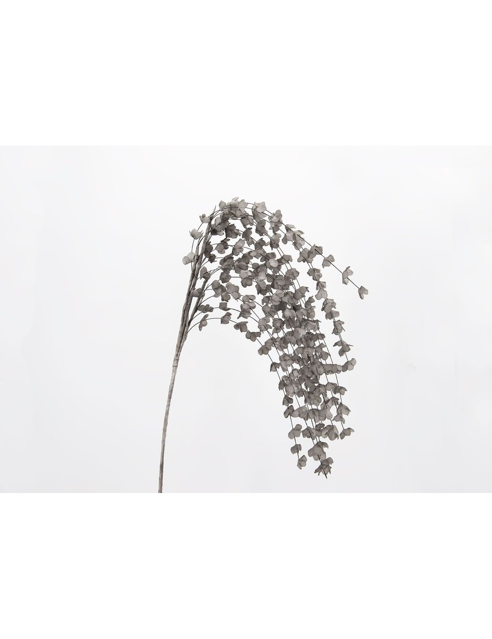 CHUTE FLEURS MARGA ARGT