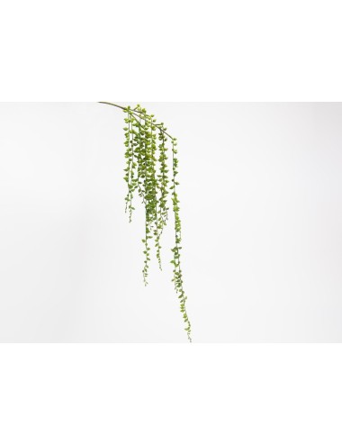 PIQUET SENECIO ROWLEY