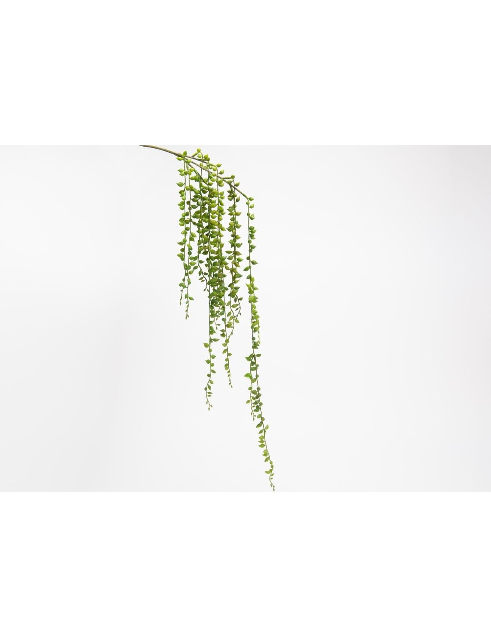 PIQUET SENECIO ROWLEY