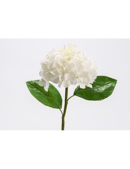 HORTENSIA REALITY H54