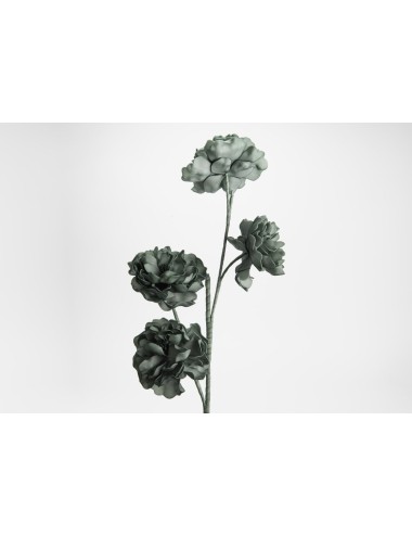 FLEUR DAHLIA EUCALYP H102