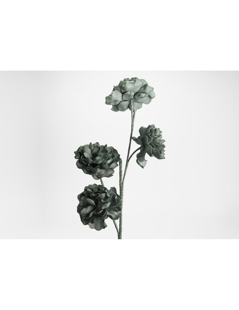 FLEUR DAHLIA EUCALYP H102
