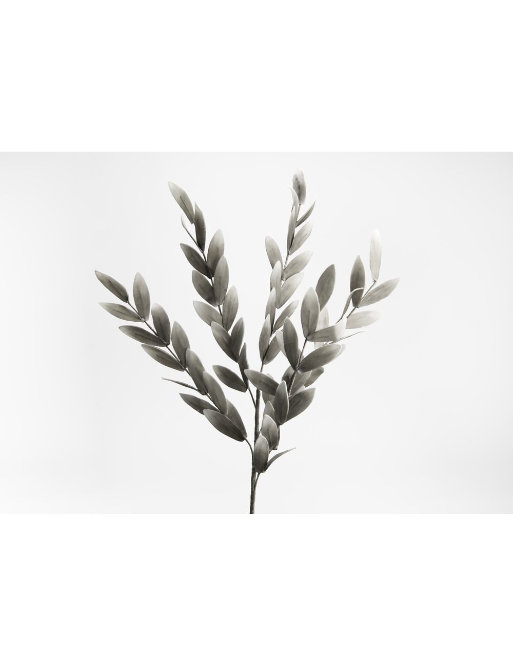 TIGE LAURIER GRIS H106