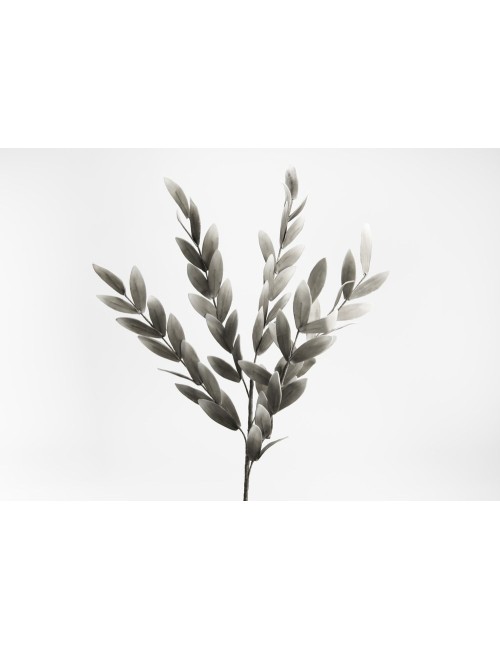 TIGE LAURIER GRIS H106