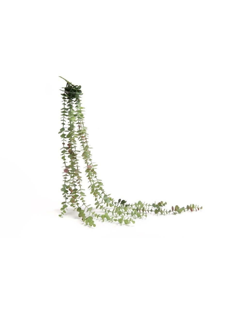 Piquet Chute Eucalyptus H80