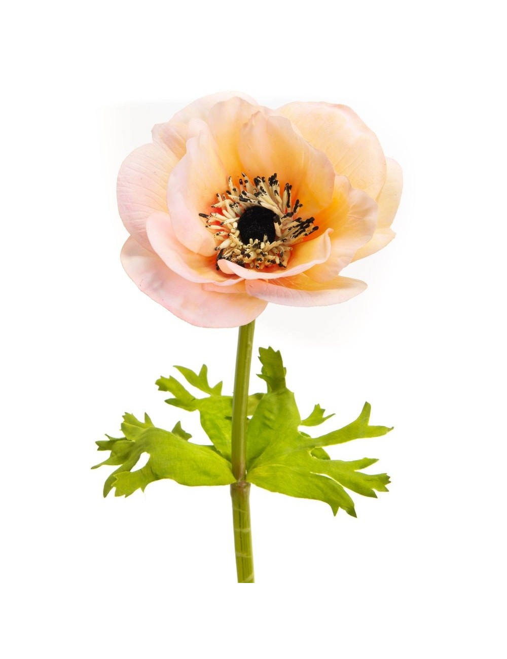 ANEMONE COURONNE REALITY