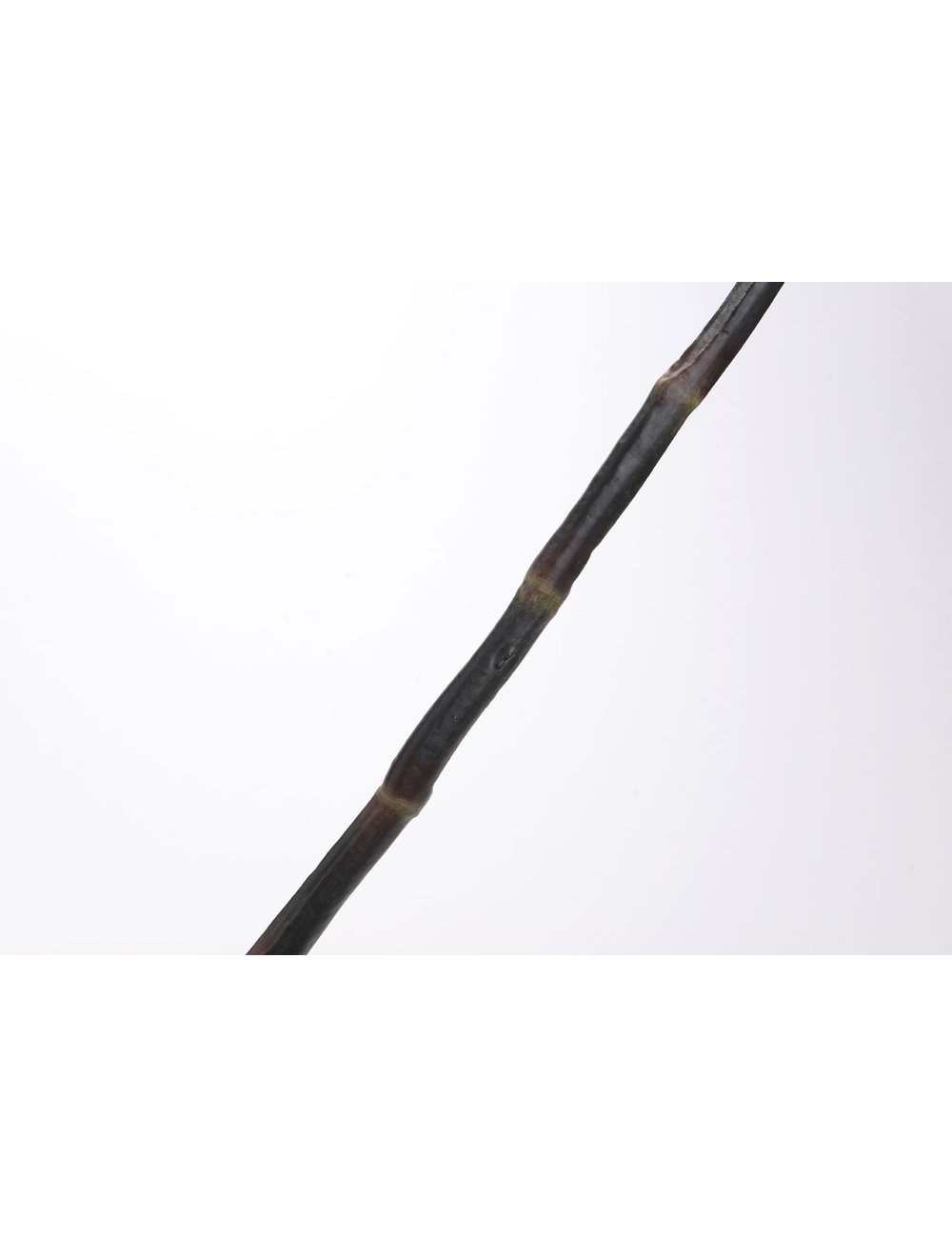 Canne De Bambou H130
