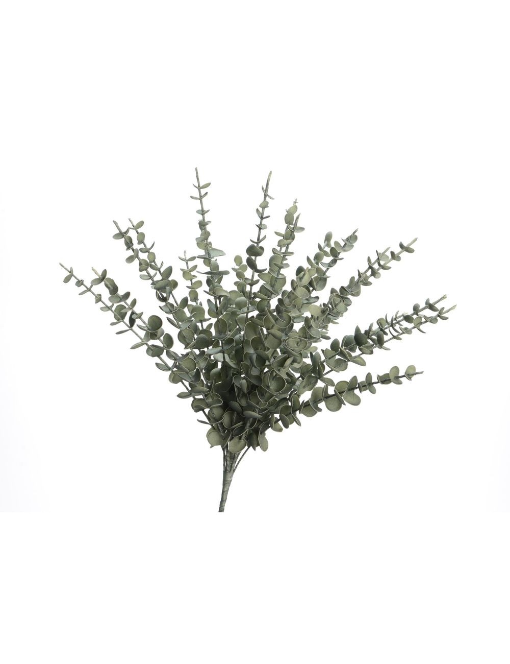 Bouquet Eucalyptus Vert