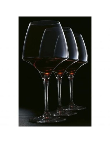 Verre À Pied Pro Tasting Open'Up 32 Cl