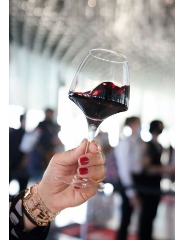 Verre À Pied Pro Tasting Open'Up 32 Cl