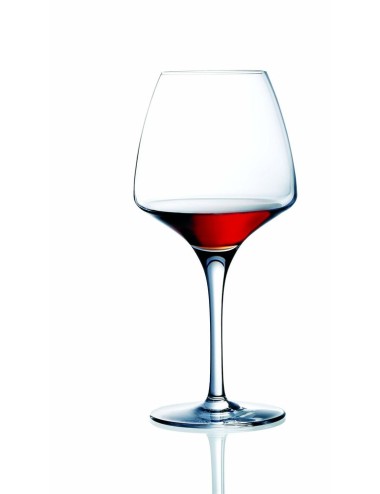 Verre À Pied Pro Tasting Open'Up 32 Cl