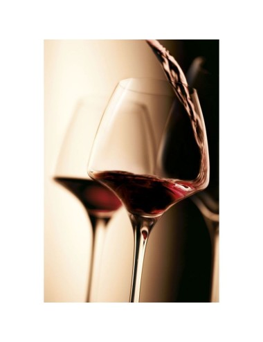 Verre À Pied Pro Tasting Open'Up 32 Cl