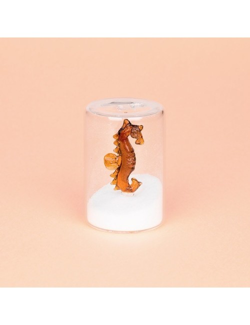 Salière Atlantis Sea Horse