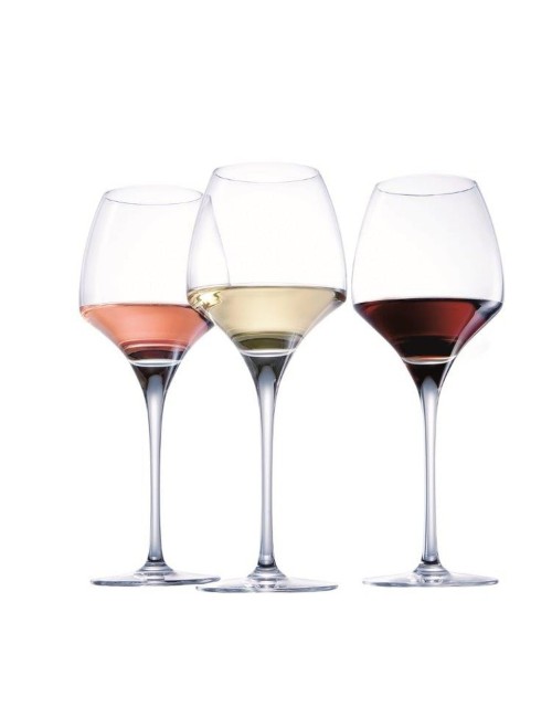 Verre À Pied Universal Tasting Open'Up 40 Cl