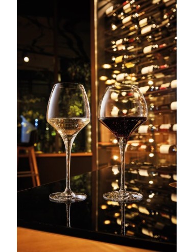 Verre À Pied Universal Tasting Open'Up 40 Cl