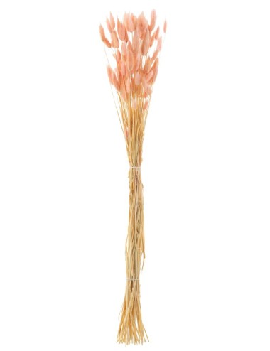 Bouquet Queue Lievre Rose