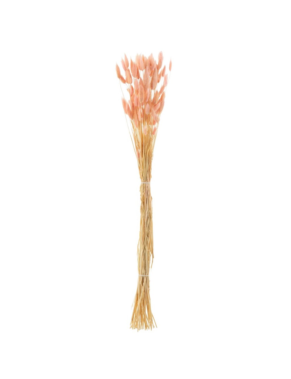 Bouquet Queue Lievre Rose