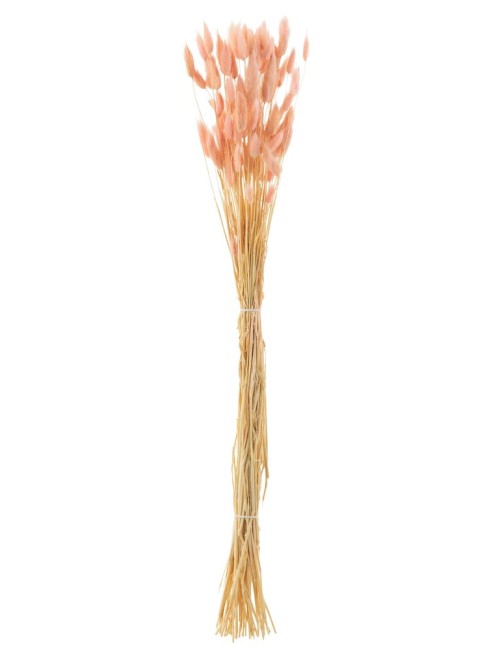 Bouquet Queue Lievre Rose