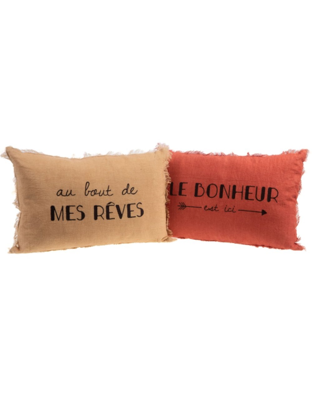 Coussin Reve Bonheur 2Ass