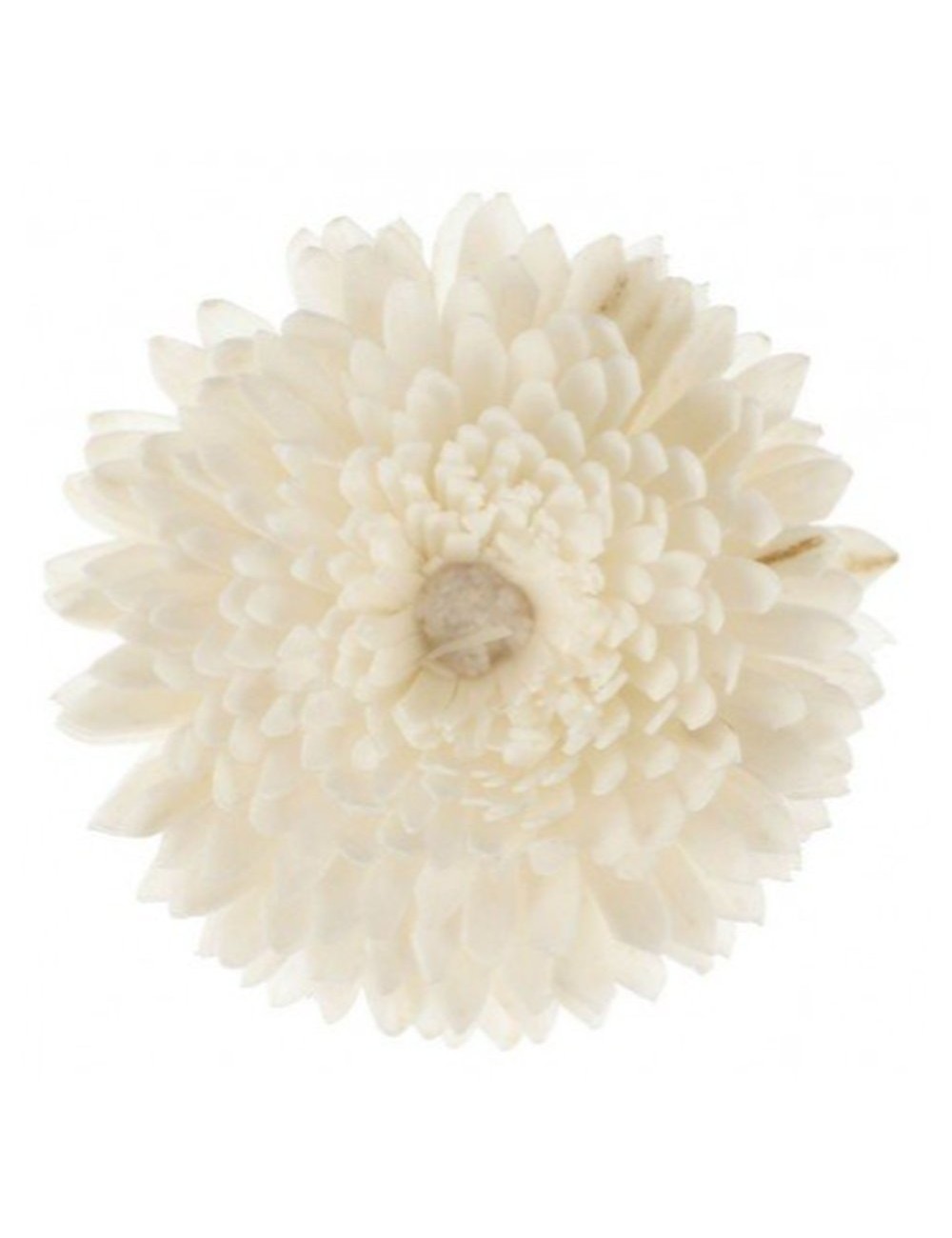 Fleur De Goatier Grande Christen
