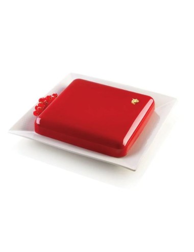 Moule Quadro Silicone