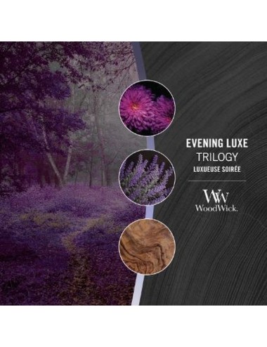 Bougie Ellipse Luxueuse Soirée