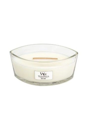 Bougie Ellipse Teck Blanc