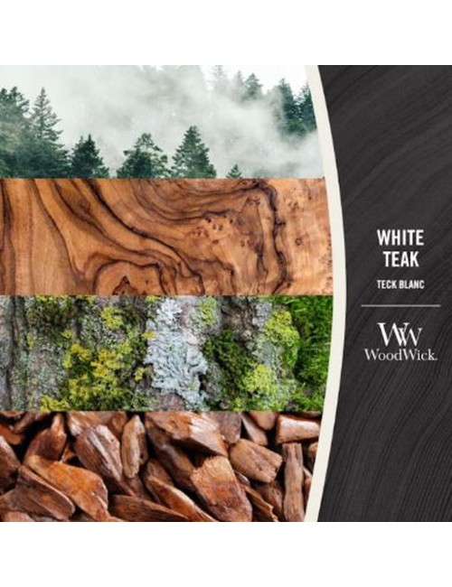 Bougie Ellipse Teck Blanc