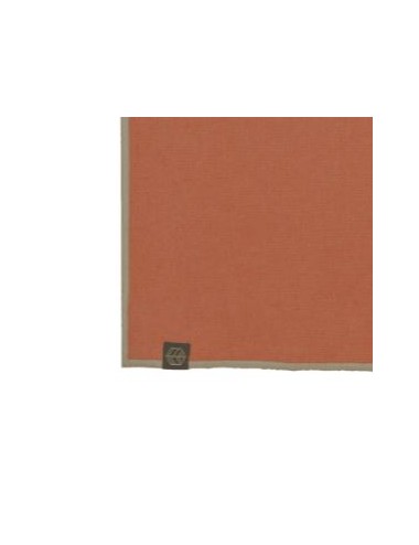 SERVIETTE 40x40 TERRE BRULEE