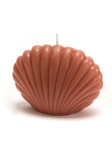 BOUGIE COQUILLAGE TERRA