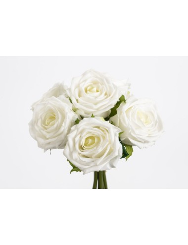 BOUQUET ROSESH25