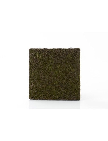 CARRE MURAL MOUSSE 50X50