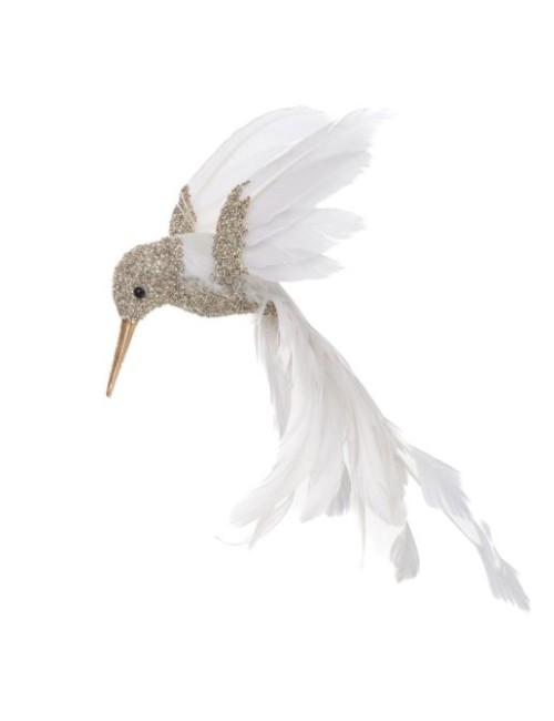 COLIBIRI ENVOLE H11 BC