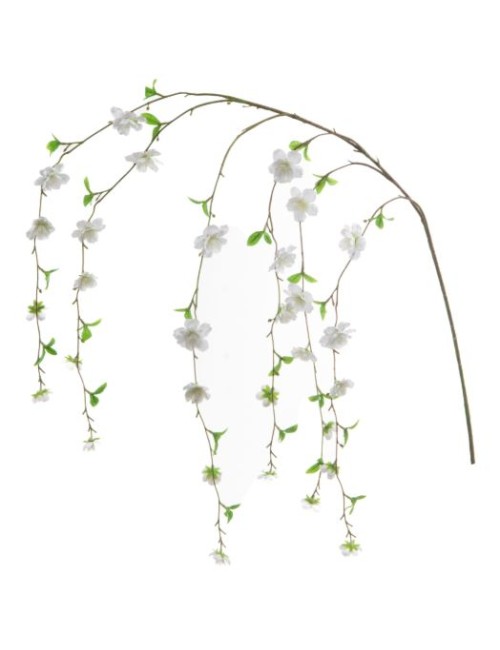 ROSIER SAUVAGE CHUTE H135 BC