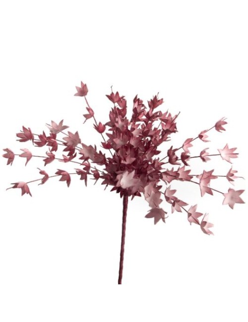 FLEUR NOUMEA TERRAC H107