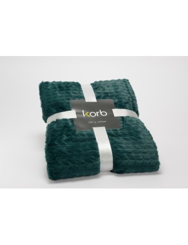 PLAID CHEVRON EMERAU130X170