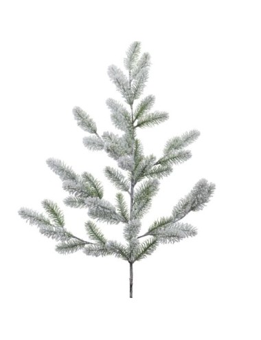 BRANCHE SAPIN COLORADO H109