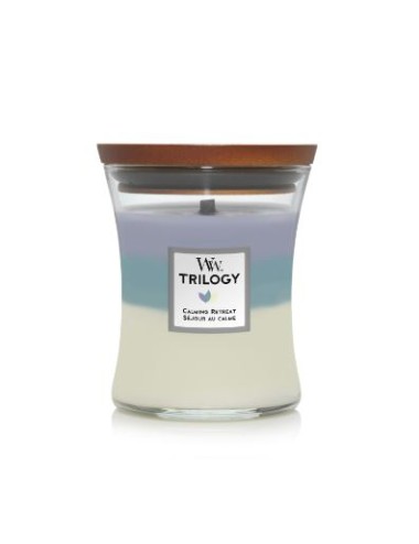 bougie moyenne jarremodèle séjour calme (floraux, agrume)